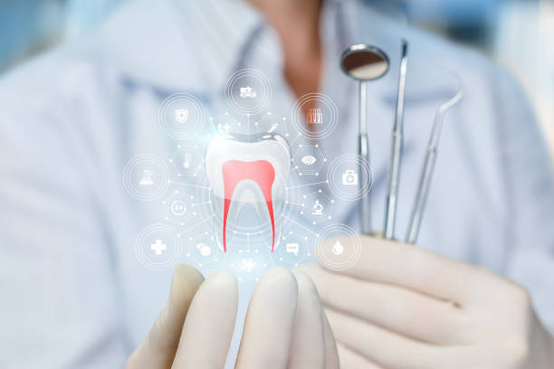 Best Full Mouth Reconstruction  in Pines Lake, NJ